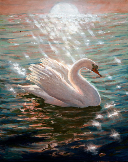 Cisne (16 x 19)